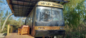 Wild Bondi